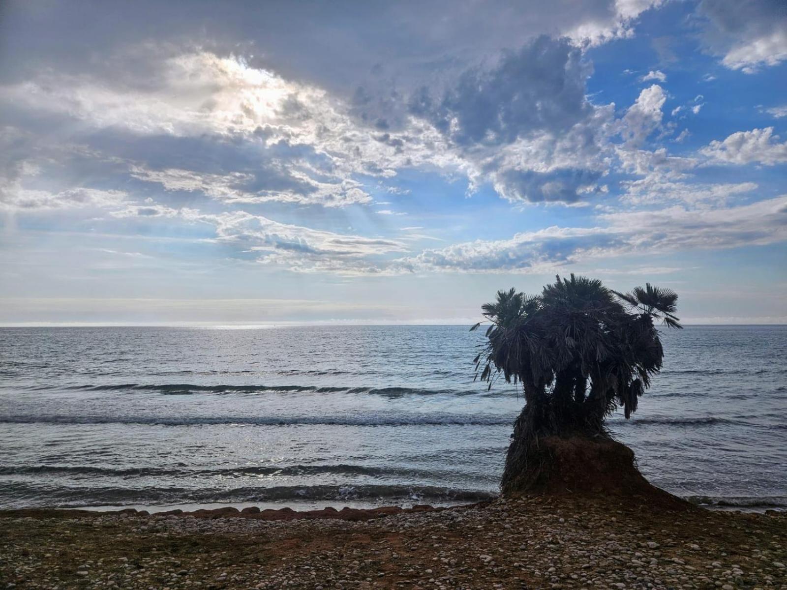 Mondrian Magic World - Sea View First Line Of The Beach Oropesa del Mar Eksteriør billede
