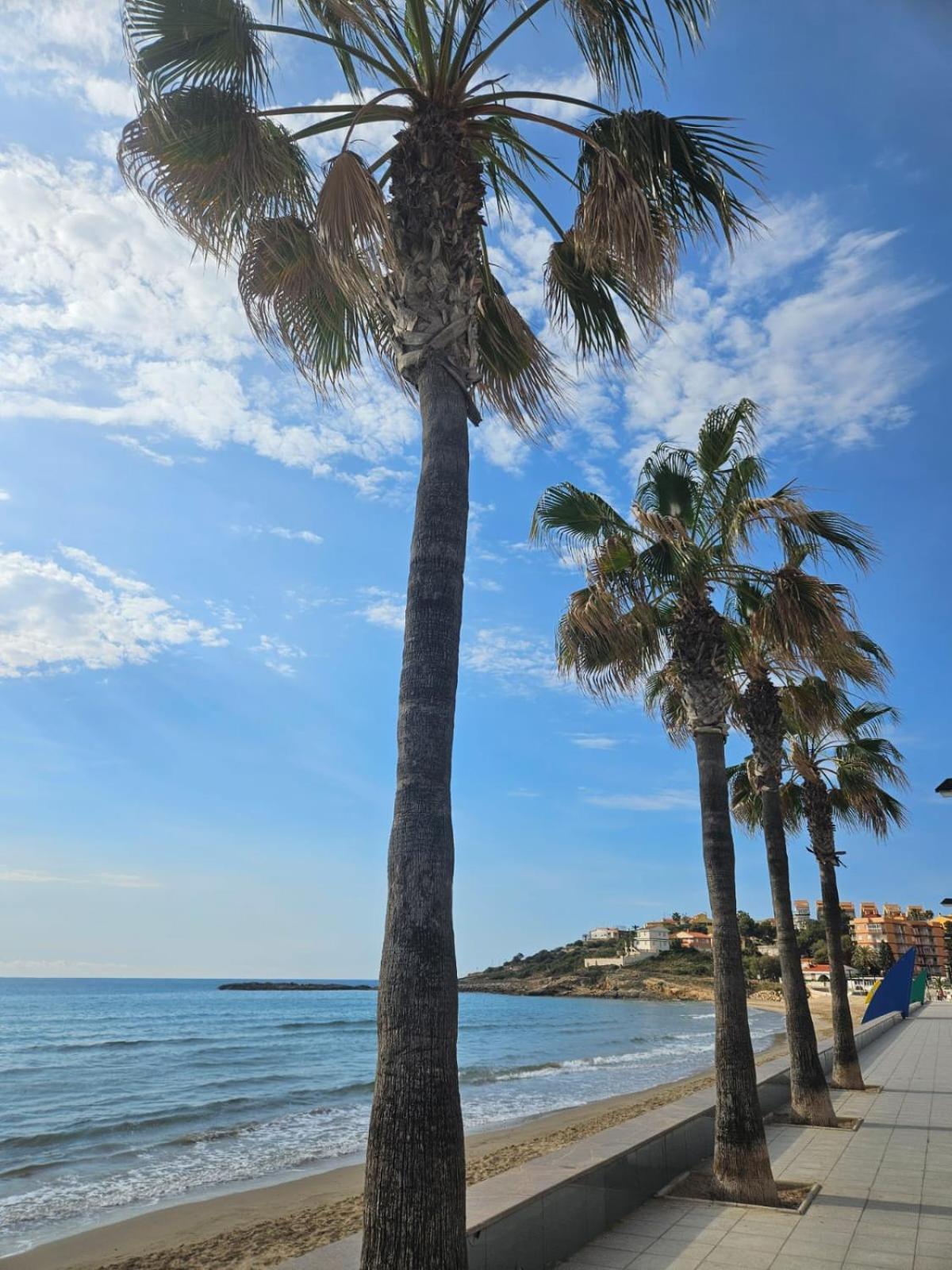 Mondrian Magic World - Sea View First Line Of The Beach Oropesa del Mar Eksteriør billede