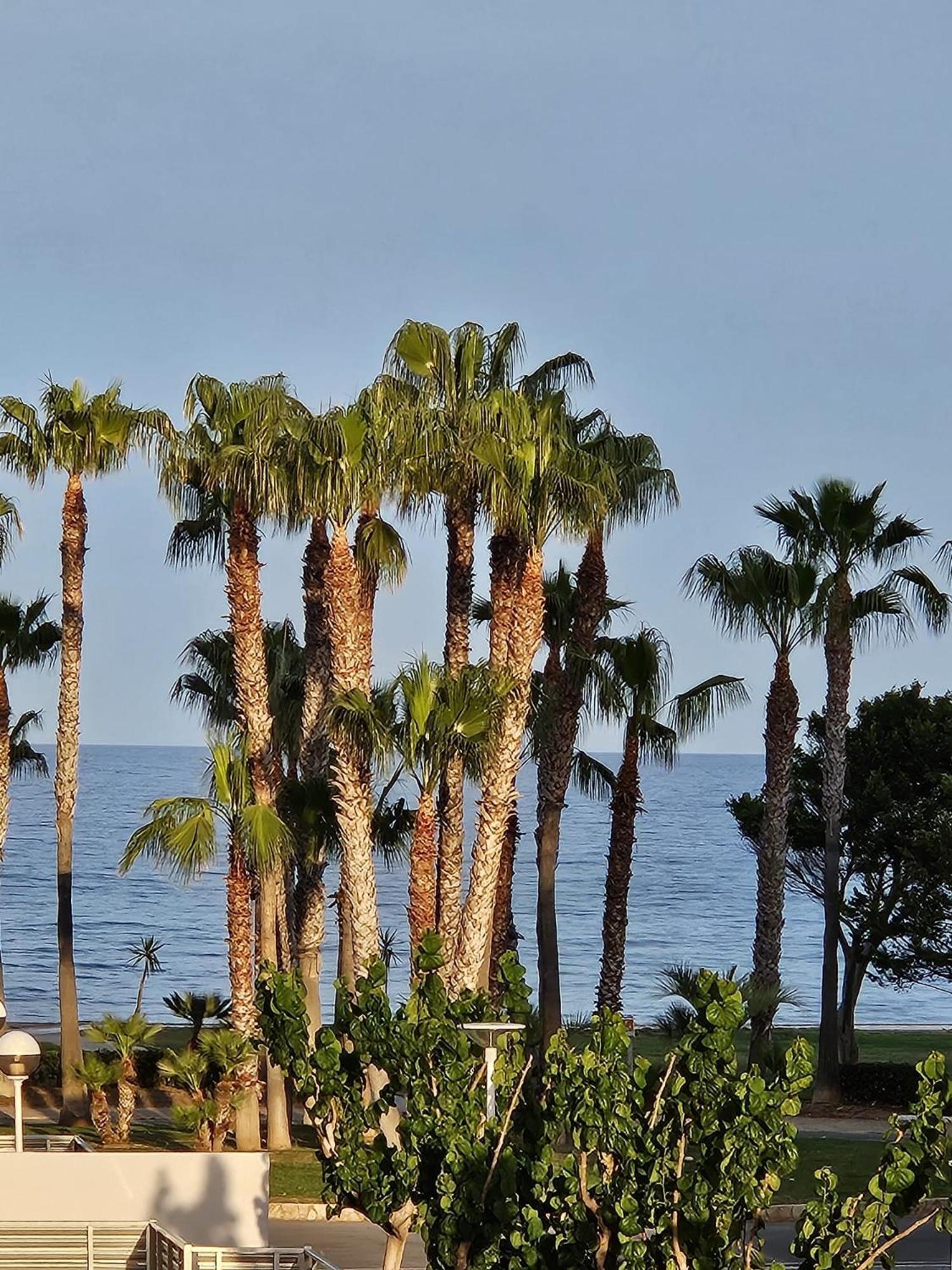Mondrian Magic World - Sea View First Line Of The Beach Oropesa del Mar Eksteriør billede